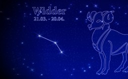 Tierkreiszeichen - Widder