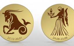 SteinbockJungfrau