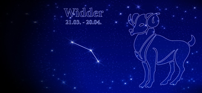 Widder 2011