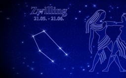 Tierkreiszeichen - Zwilling