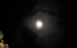 Vollmond