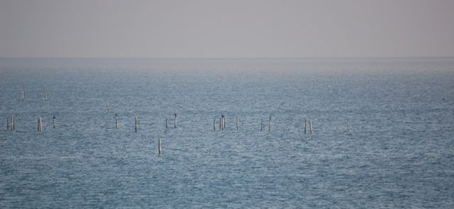Neptun wechselt in die Fische