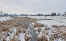 Giesow-19