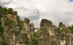 DSC_1554
