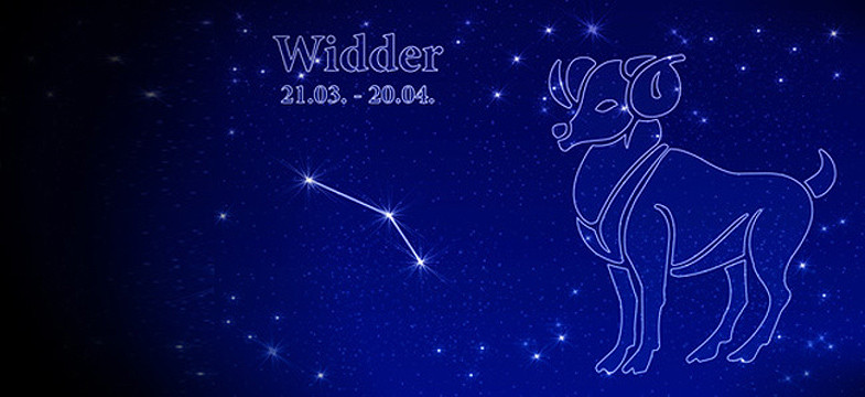 Widder 2013