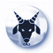 Widder Aszendent Steinnbock