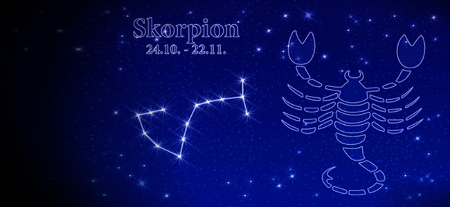 Skorpion 2014